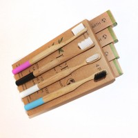 wholesale environmental biodegradable natural bristles bamboo toothbrush